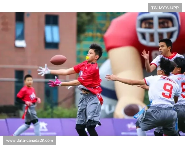 省政府办公厅发文促赛事经济，腰旗橄榄球列夜间潮流项目